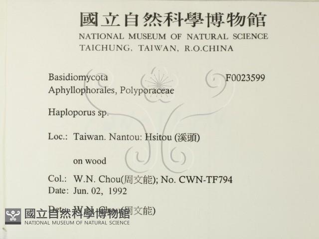 登錄號:F0023599藏品圖，第2張