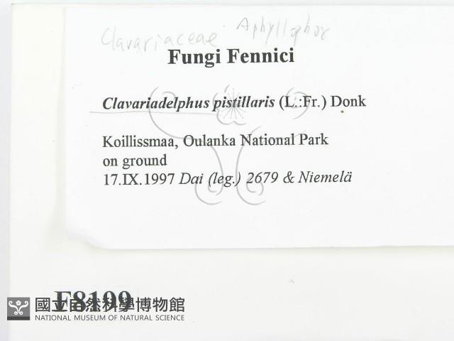 登錄號:F0008199藏品圖，第2張