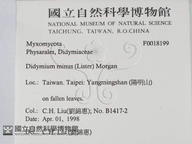登錄號:F0018199藏品圖，第2張