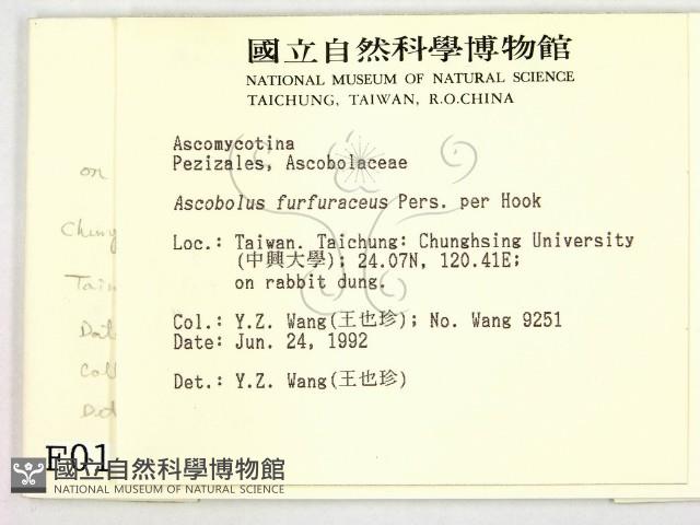 登錄號:F0000199藏品圖，第2張