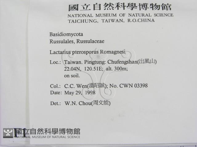登錄號:F0011199藏品圖，第2張