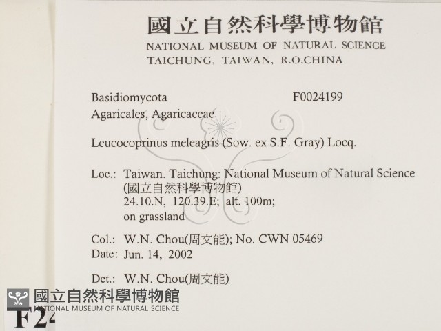 登錄號:F0024199藏品圖，第2張