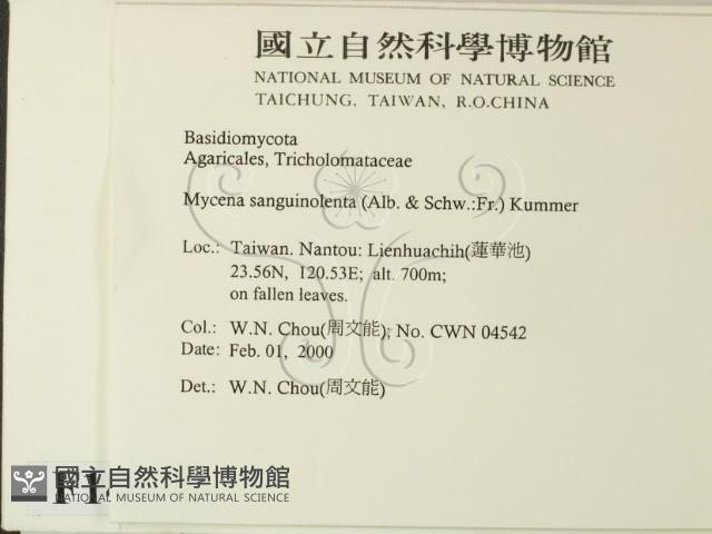 登錄號:F0014199藏品圖，第2張