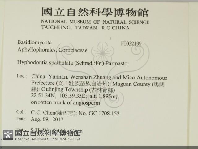 登錄號:F0032199藏品圖，第2張