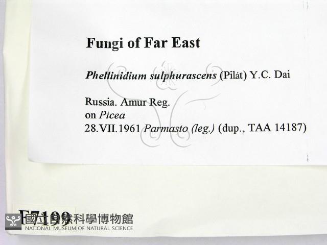 登錄號:F0007199藏品圖，第2張