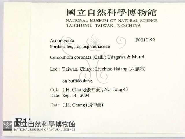 登錄號:F0017199藏品圖，第2張