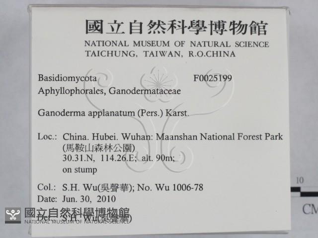 登錄號:F0025199藏品圖，第2張