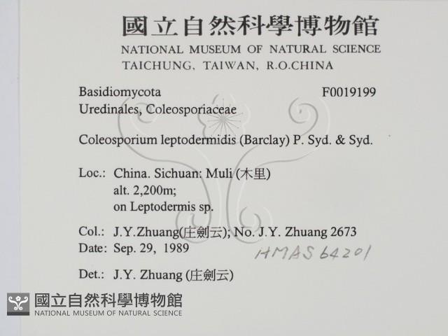 登錄號:F0019199藏品圖，第2張