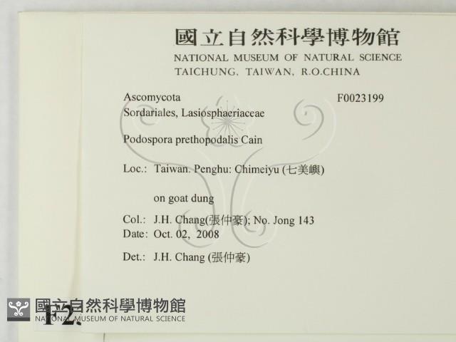 登錄號:F0023199藏品圖，第2張