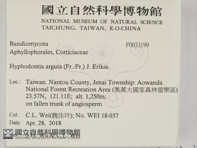 登錄號:F0033199藏品圖，第2張