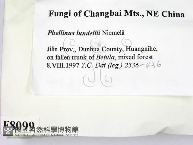 登錄號:F0008099藏品圖，第2張