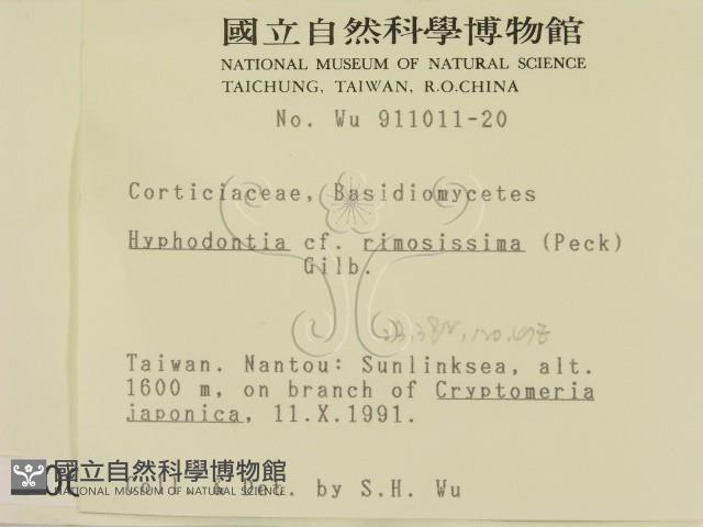 登錄號:F0000099藏品圖，第2張