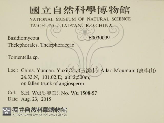 登錄號:F0030099藏品圖，第2張