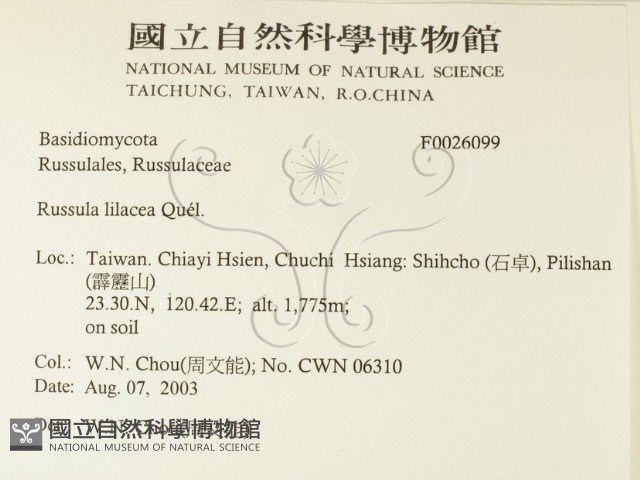 登錄號:F0026099藏品圖，第2張