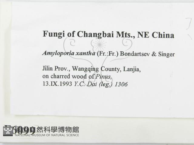 登錄號:F0006099藏品圖，第2張