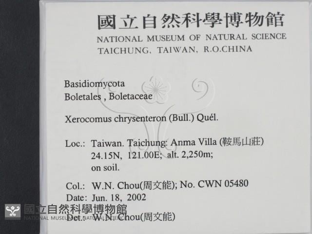 登錄號:F0016099藏品圖，第2張