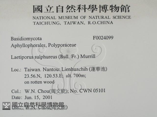 登錄號:F0024099藏品圖，第2張