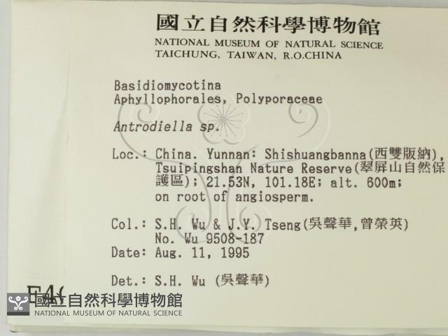 登錄號:F0004099藏品圖，第2張