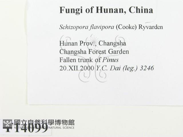 登錄號:F0014099藏品圖，第2張