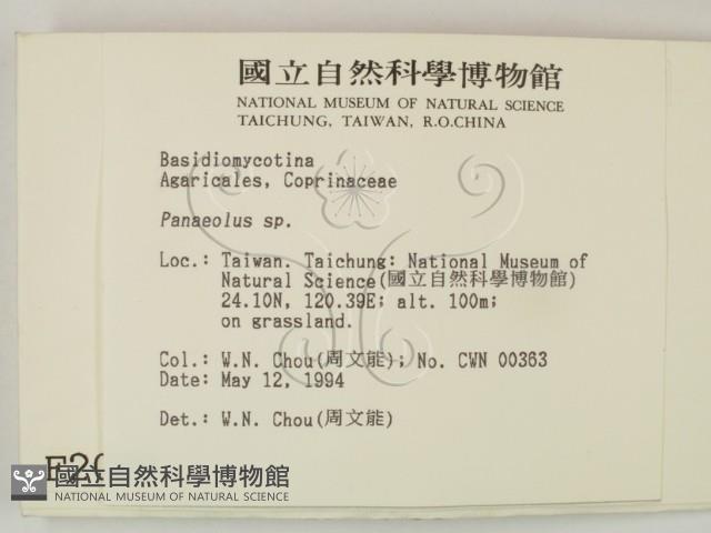 登錄號:F0002099藏品圖，第2張