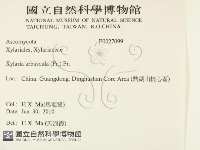 登錄號:F0027099藏品圖，第2張