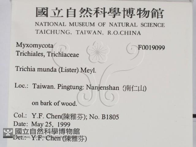 登錄號:F0019099藏品圖，第2張
