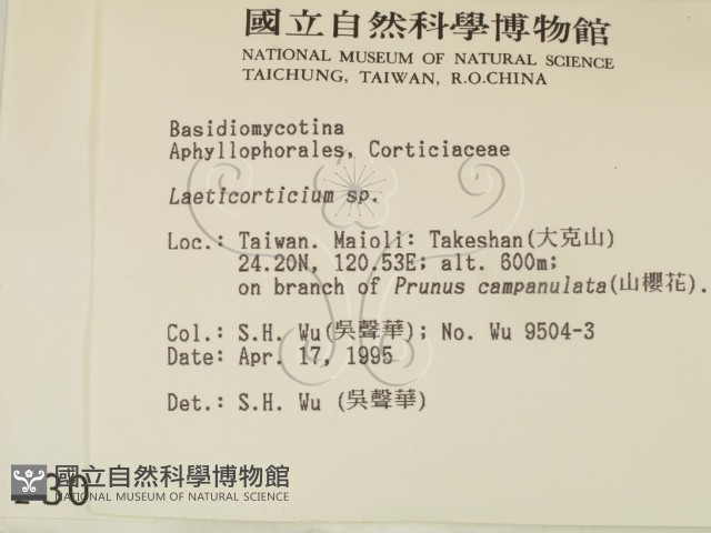 登錄號:F0003099藏品圖，第2張