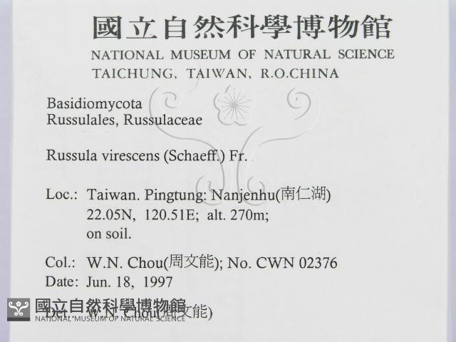 登錄號:F0008399藏品圖，第2張