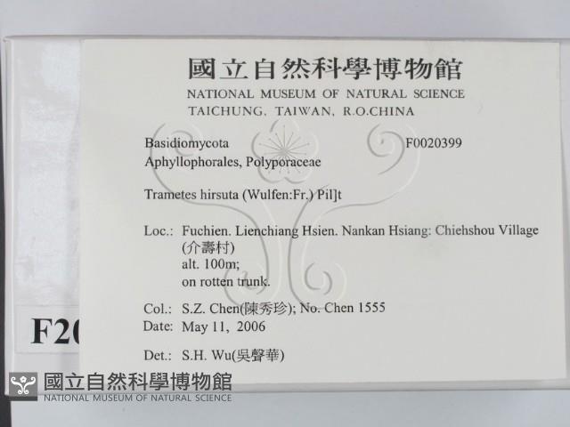 登錄號:F0020399藏品圖，第2張