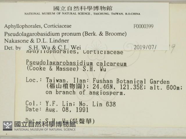 登錄號:F0000399藏品圖，第2張