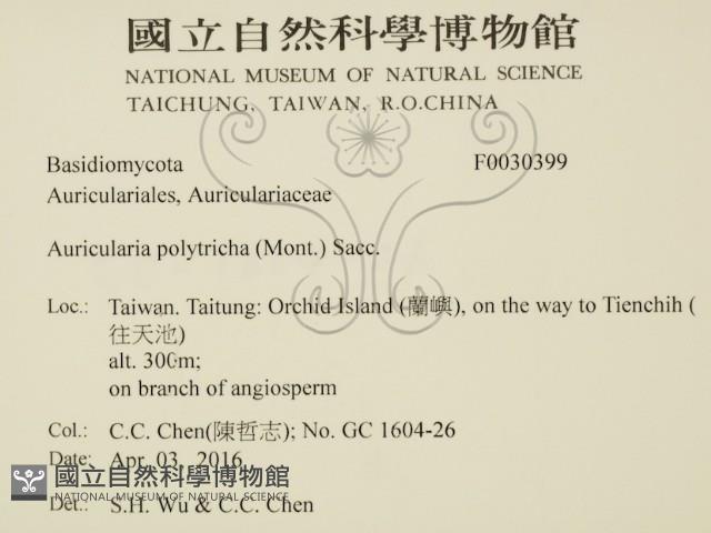 登錄號:F0030399藏品圖，第2張