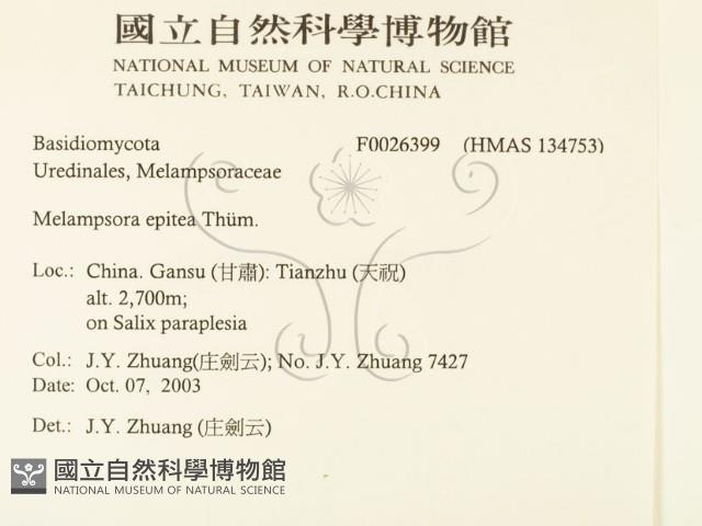 登錄號:F0026399藏品圖，第2張