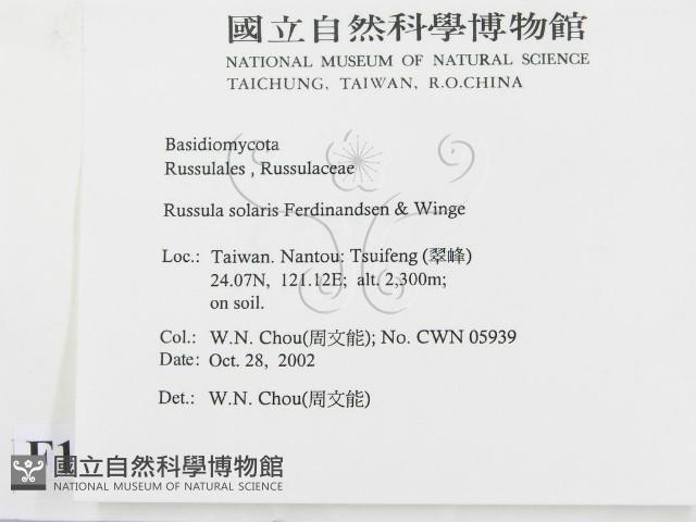 登錄號:F0016399藏品圖，第2張