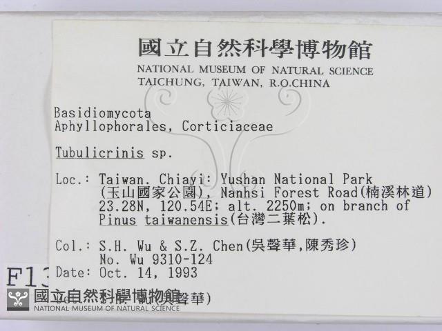 登錄號:F0001399藏品圖，第2張