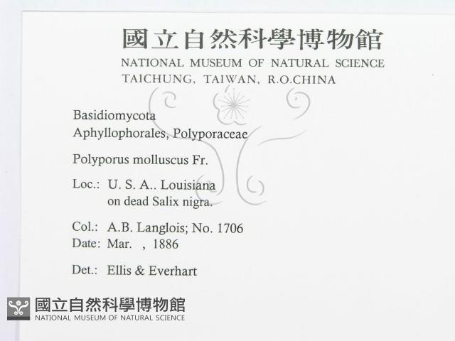 登錄號:F0011399藏品圖，第2張