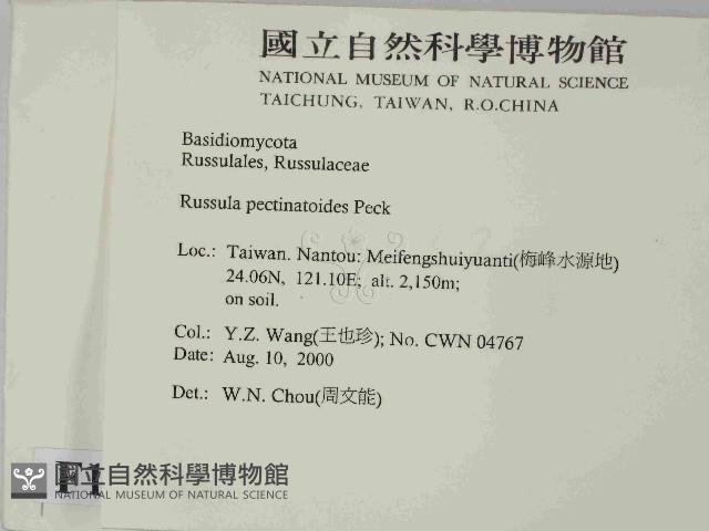 登錄號:F0014399藏品圖，第2張