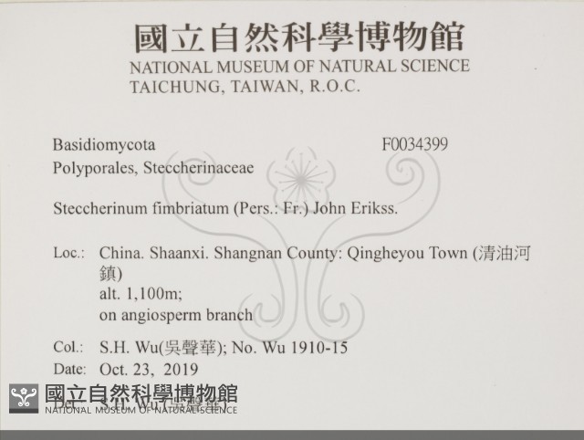 登錄號:F0034399藏品圖，第2張