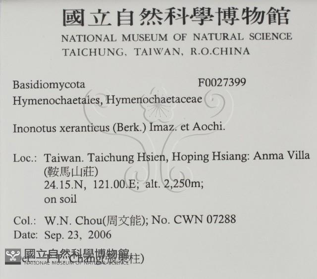 登錄號:F0027399藏品圖，第2張