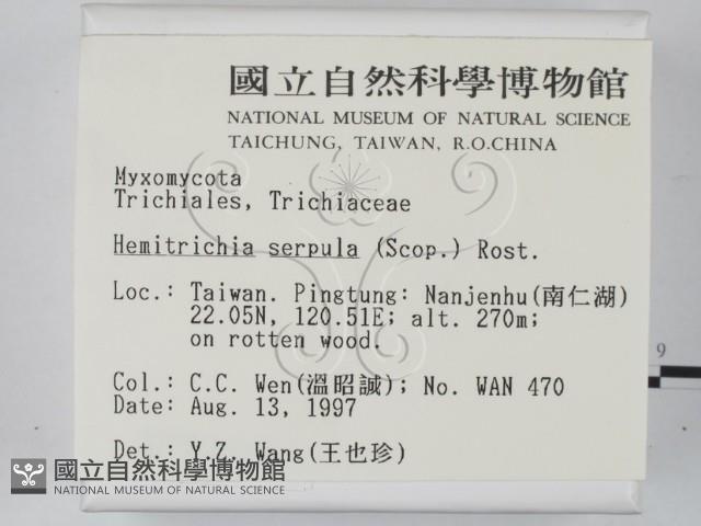 登錄號:F0007399藏品圖，第2張