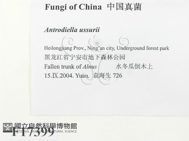 登錄號:F0017399藏品圖，第2張