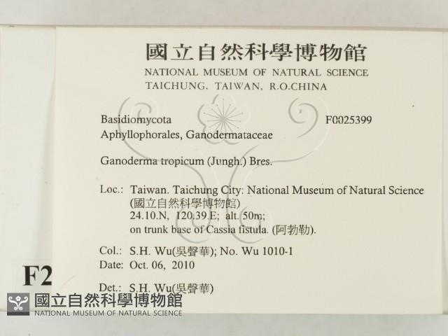 登錄號:F0025399藏品圖，第2張