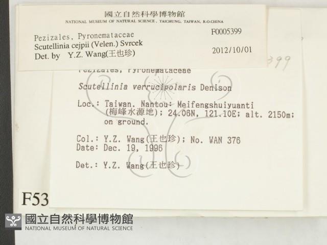 登錄號:F0005399藏品圖，第2張