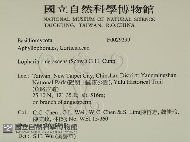 登錄號:F0029399藏品圖，第2張