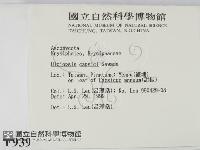 登錄號:F0009399藏品圖，第2張