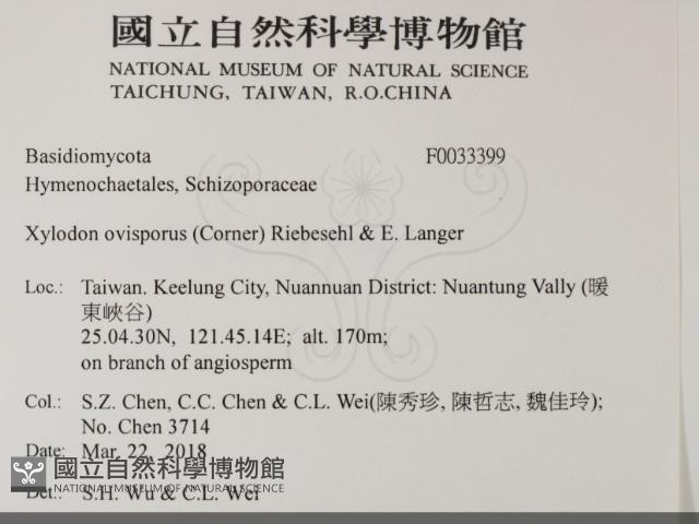 登錄號:F0033399藏品圖，第2張