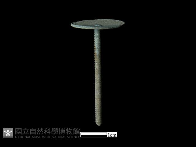 銅製品藏品圖，第1張