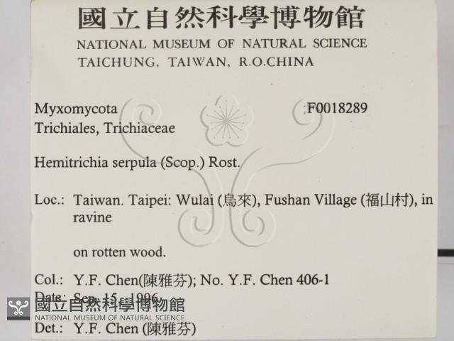 登錄號:F0018289藏品圖，第2張