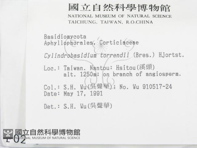 登錄號:F0000289藏品圖，第2張