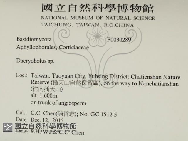 登錄號:F0030289藏品圖，第2張