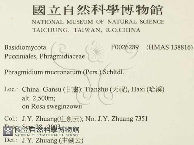 登錄號:F0026289藏品圖，第2張